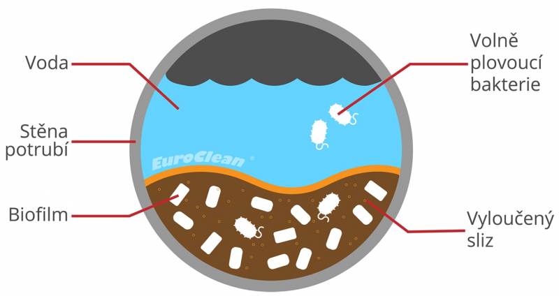 Ilustrace legionelly žijící a množící se v biofilmu