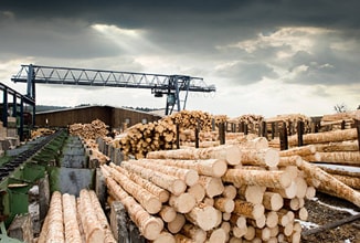 Dřevařský průmysl