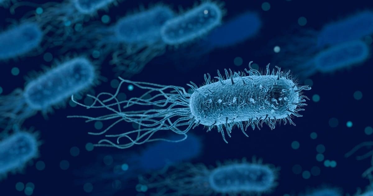 bakterie-ve-vod-a-jejich-odstran-n-euroclean-cz