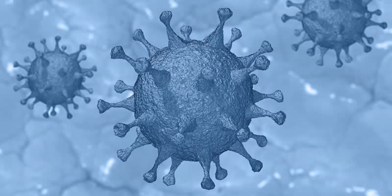nový koronavirus SARS-CoV-2