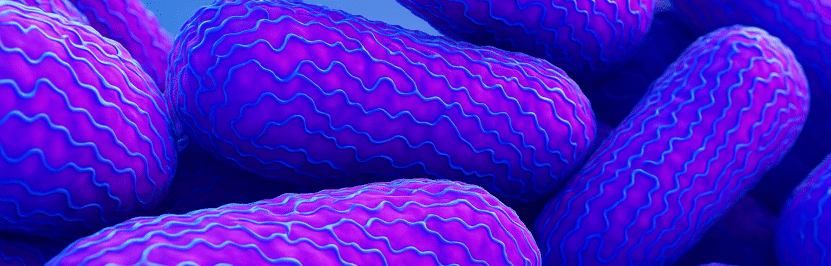 Legionella